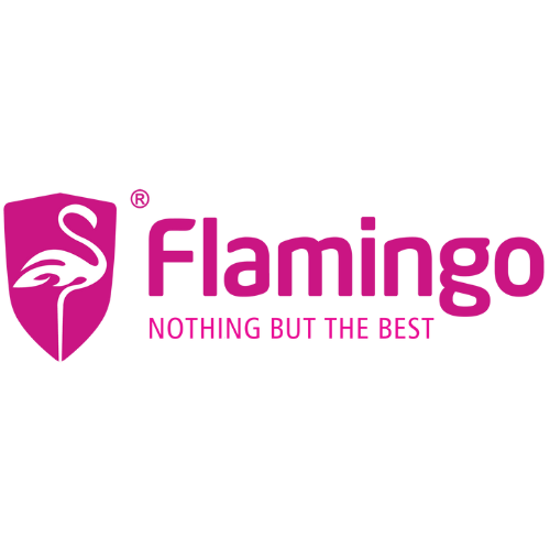 Flamingo Car Care Products in Pakistan – Full Guide & Benefits