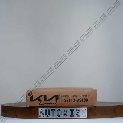 KIA Genuine Parts - Air Filter 28113-A9100 - Automize.pk