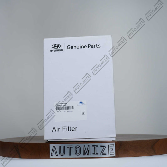 Buy Hyundai Genuine Parts - Air Filter 28113 F2000 - Automize.pk