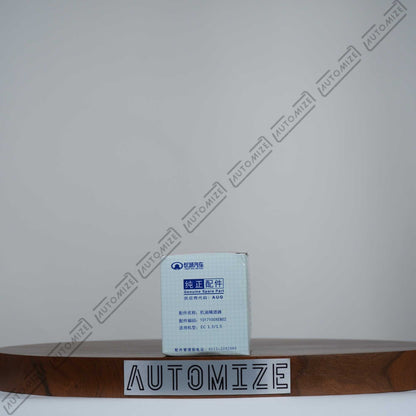 Buy GWM Oil Filter 1017100XEB02 - Automize.pk