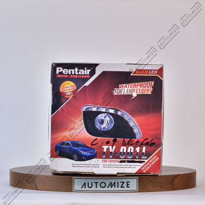 Pentair Auto Fog Lamp TY180 - Automize